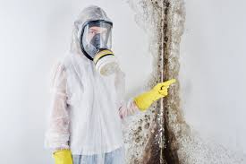 Best Mold Damage Restoration  in La Grange, TX